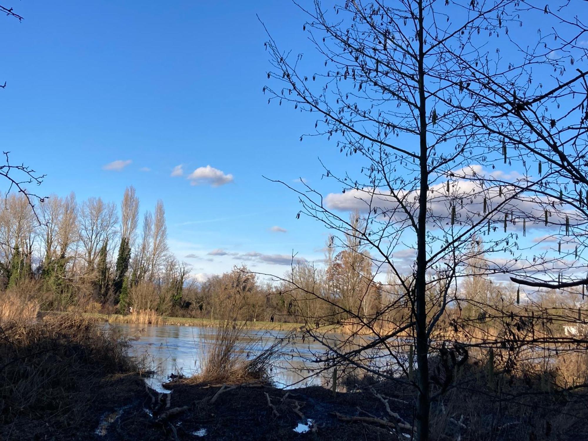 Au Calme Dans Maison En Rez De Jardin A 2,2 Kms Du Groupama Stadium Et Salle Ldlc Arena Meyzieu Exteriör bild